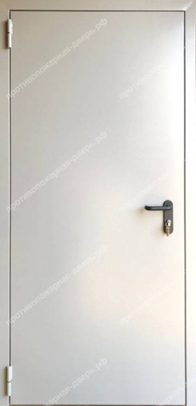 Однопольная глухая дверь EI 60 RAL 7035 (02)
